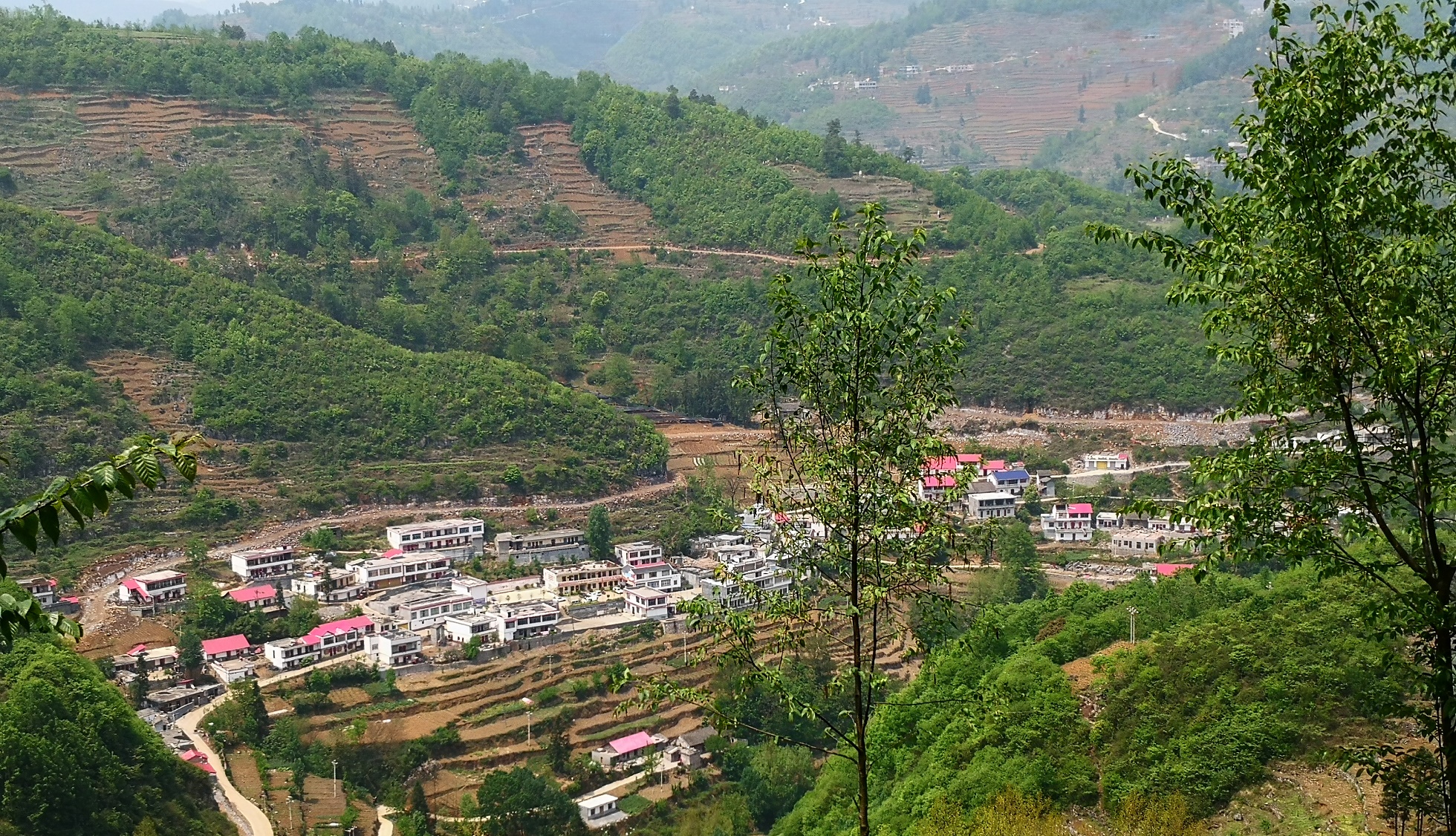 DG��Ѷ��(�й���)�ٷ���վ