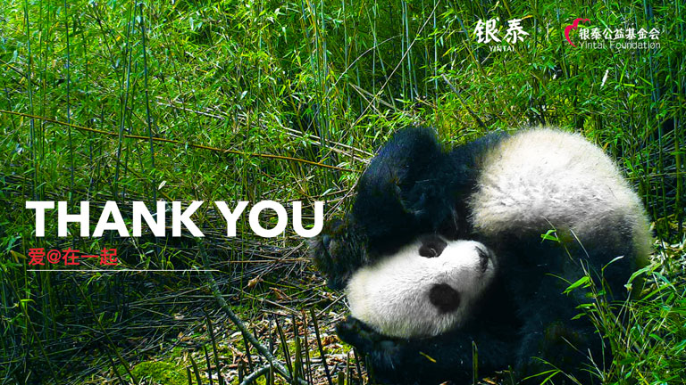 DG��Ѷ��(�й���)�ٷ���վ