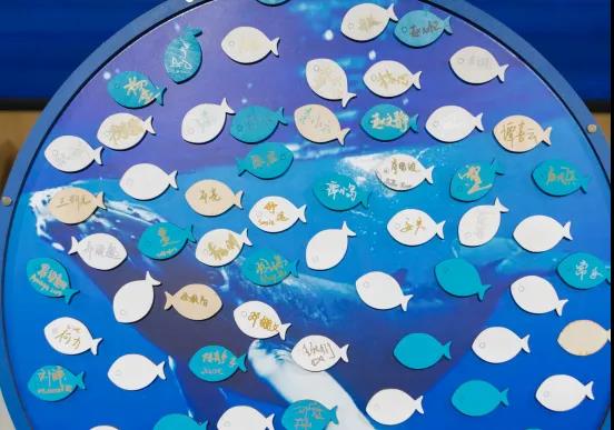 DG��Ѷ��(�й���)�ٷ���վ