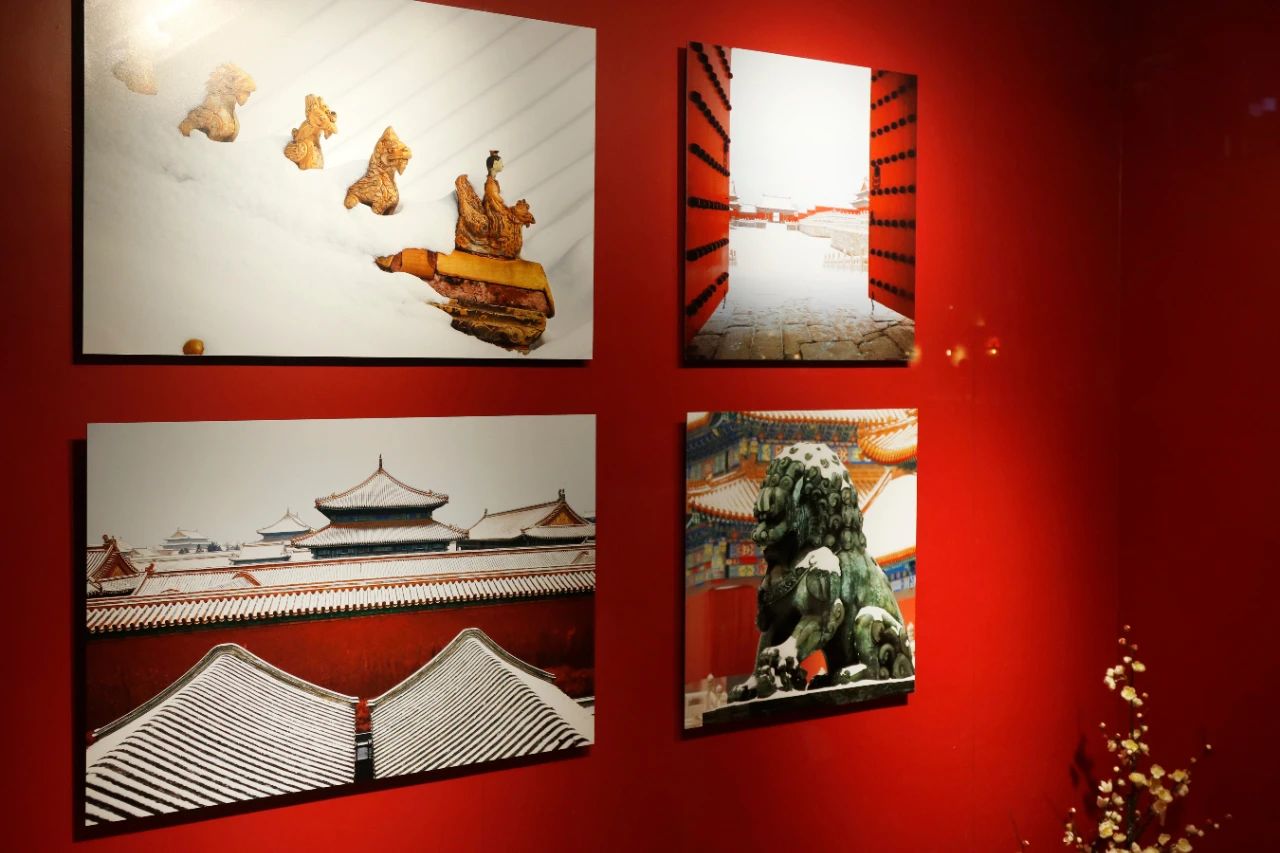 DG��Ѷ��(�й���)�ٷ���վ