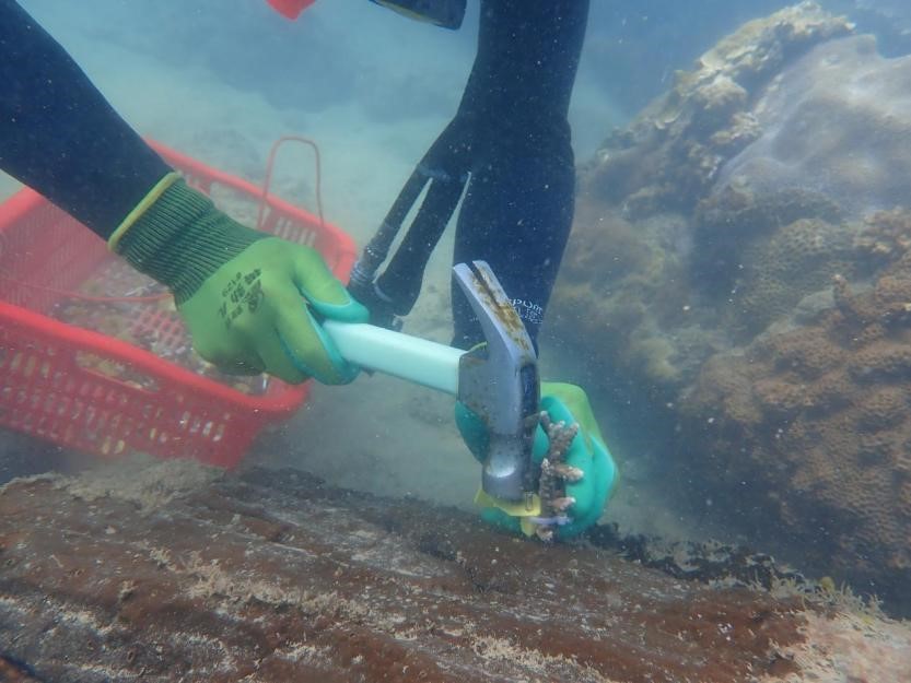 ɺº÷½¸ÝªÖ².jpg ɺº÷½¸ÝªÖ².jpg