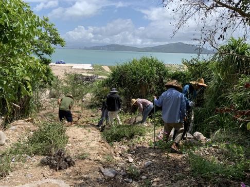 ÂÌ»¯¹¤³Ì.jpg ÂÌ»¯¹¤³Ì.jpg