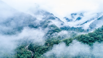 DG��Ѷ��(�й���)�ٷ���վ