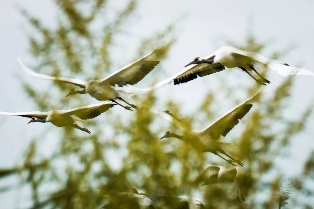 DG��Ѷ��(�й���)�ٷ���վ