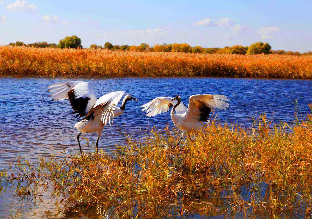 DG��Ѷ��(�й���)�ٷ���վ