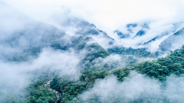 DG��Ѷ��(�й���)�ٷ���վ