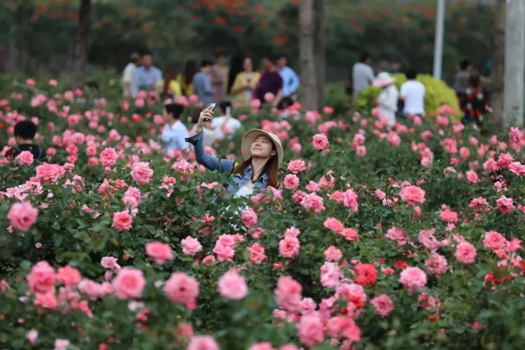 DG��Ѷ��(�й���)�ٷ���վ