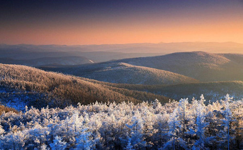 DG��Ѷ��(�й���)�ٷ���վ