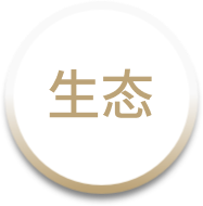 DG��Ѷ��(�й���)�ٷ���վ